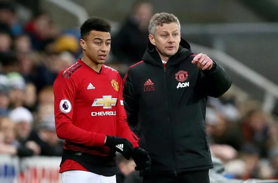 将到来的荷 将到来的荷